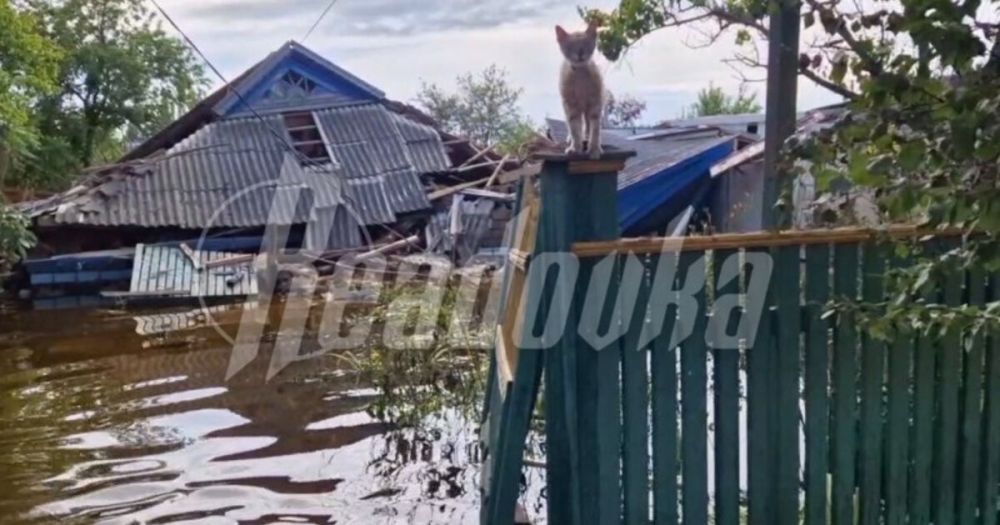 �������� ����� ������� �������� �� ���� ���������� �� ����������� ����������