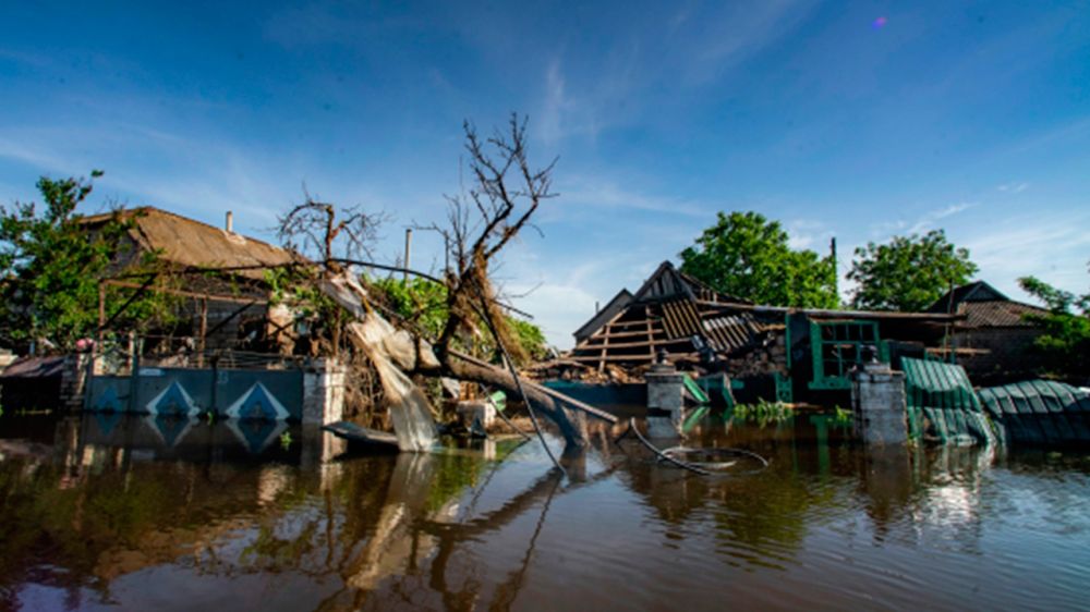 ����� �������� � ���������� ������� ����� ���������� ��������� ��� ������� �� 29