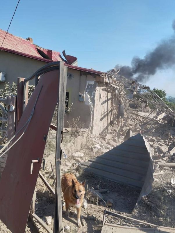 � �� ��� ������... ��������