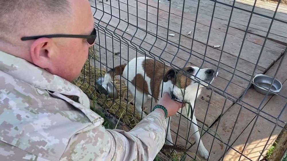 ����� ����������: ��� ������. � ������� ��� � ��� ����� � ������������ �����