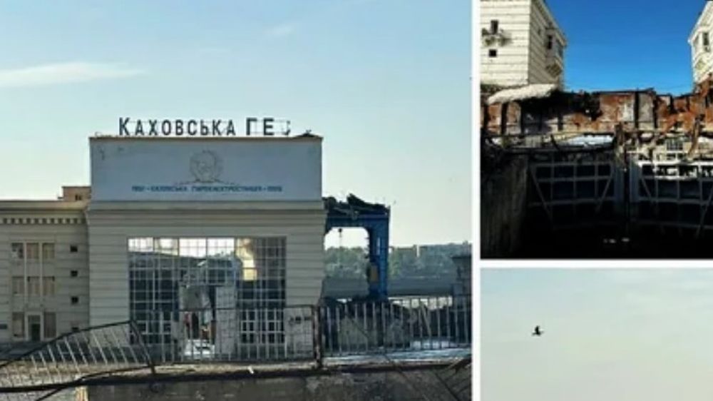 ������ �����������: "��-�� ������� ��������� ��� �� ������� � �������, ������� � �������� ����� ��������� �������� ������, �������� ����, �� ������ ��� � ���������� ������� �������� �������� � �����������"