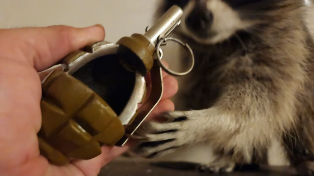 ���� �� �������: ����������?) �� �����������!