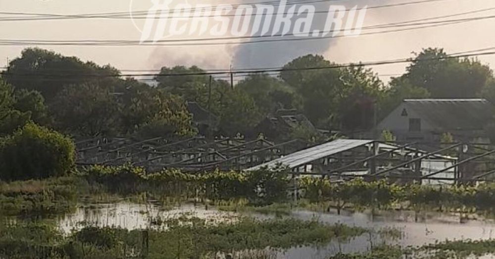 ������ �� ����� 10 ����: ������ ������������ ������ ������� ������� � ����� ����������