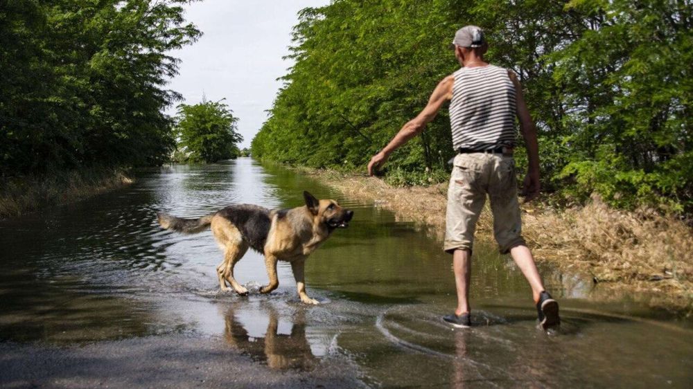 �������� ���� ������: ��� �������� � ������������ ������ �� ����������