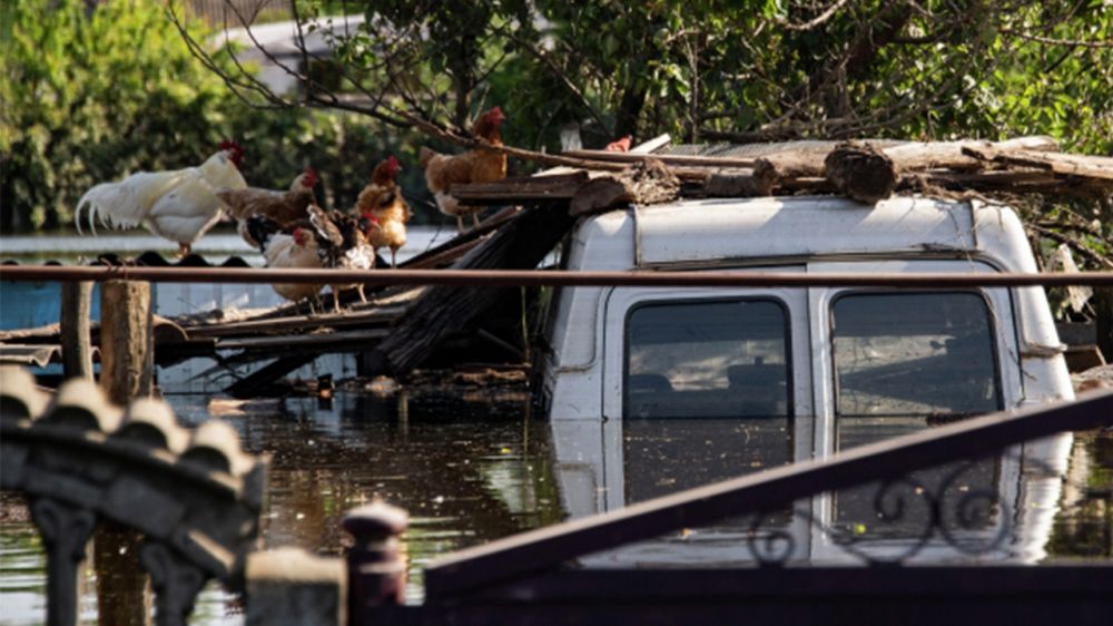 ������ ������� � ������ �������� ������ ���� � ���� ����������� ��������� ���