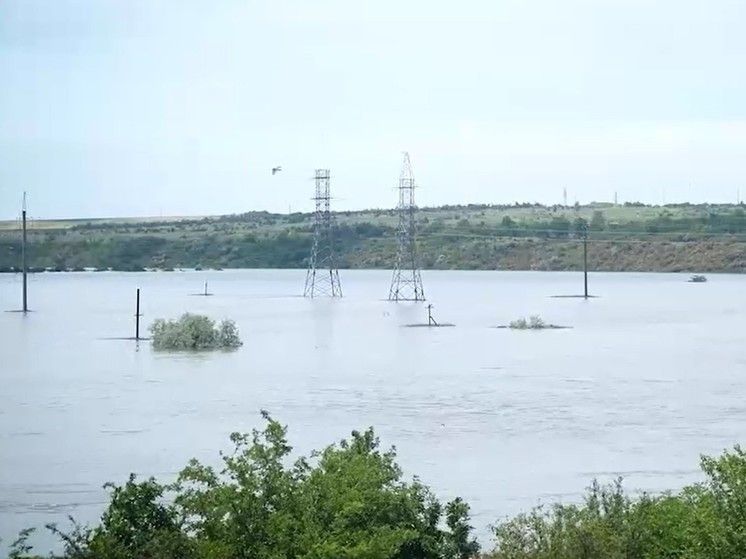 ������ ���������� ������� �������� �� ��������������� ����� ����������� �������