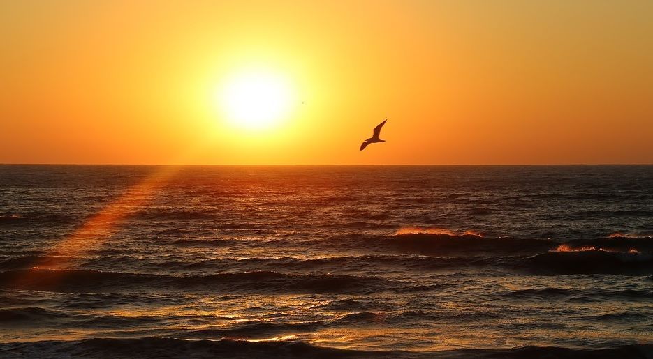 � ������� ���� � ��������� ����� ���������� �� ����� �� ��������