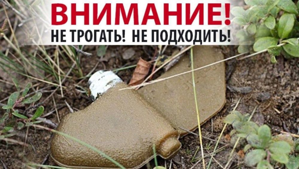 ��������! ������ ���������!