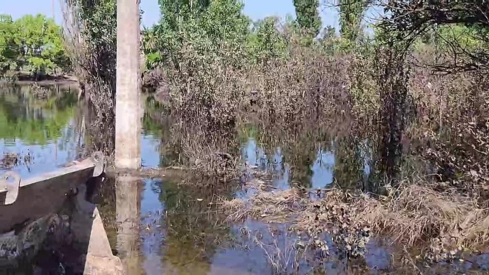 ������ ����������: �������� �� �����, 18 ���� � ����� �������