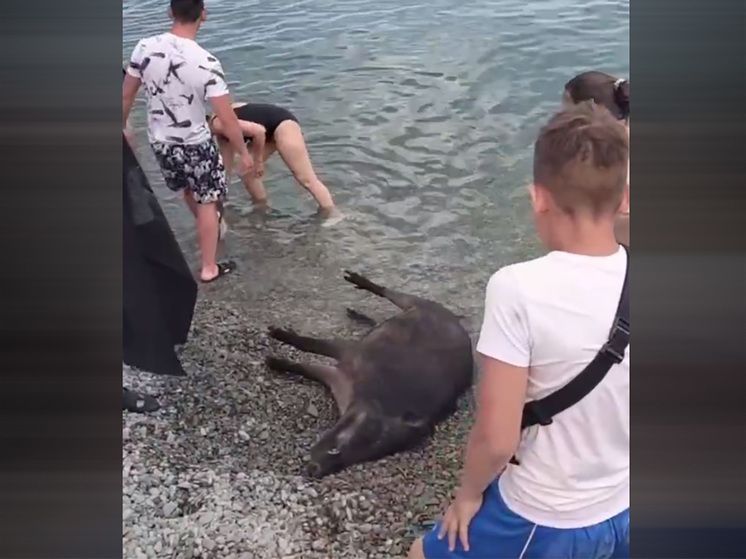 �� ���� ���� ��������� ���� ������