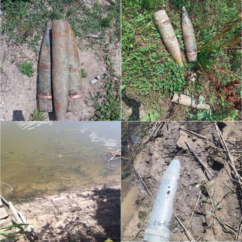 ���������� ������� ����������� ��������� ������� �� ������ ������-��������� ������ � � ������ ��������