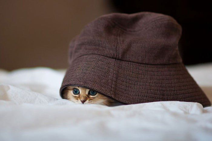 � �� ��� ������.... ���� ������-�������!