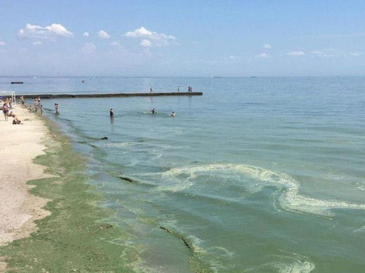 ���� ���� �������: ��� ���������� � ������ �� ���� �������� �� �������� ������