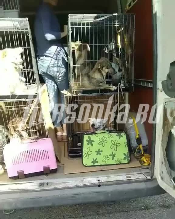 ��������� ���������� ������� �������� � ����������� ���������� ���������� � ������� � ������ ���������� ��������� ������ ����������