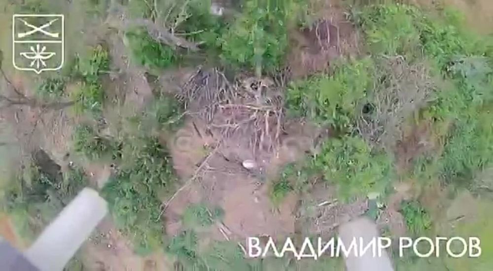 �������� �����: ���������� ������� FPV-����� ������� ��������� ������ ������ �� ���������!