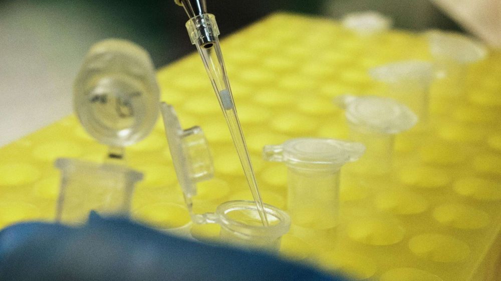 ������� ������ � ������ ������� �������� � ���������� ������� �� ��������