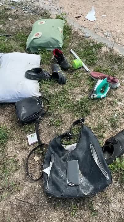 ���� ���������: ���������. �������� ����