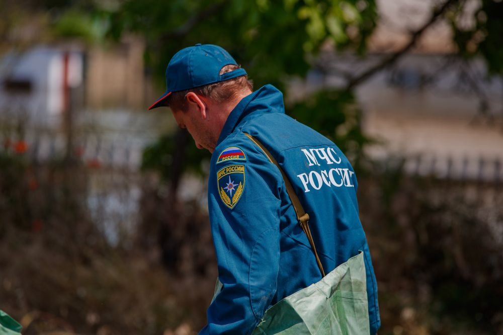 � ���������� ������� ����� 1 250 ���������� ����������� ����������� ����������