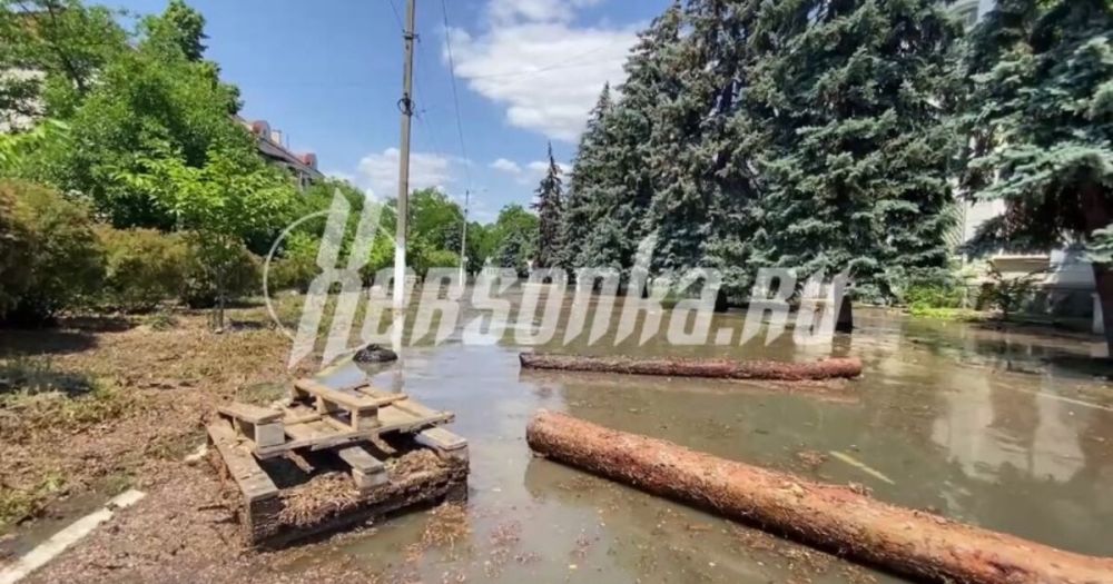 ����� ������ ����� ����� ������������ �� ���� �� ����������� ����������