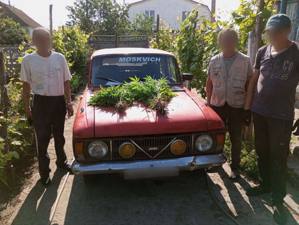 ���������� ������������� �� �������� �� �������� ���������� � ���������� ���������� ����������� ���������� ������� ���� ����������� ��������������� �������� 65-������ ������� ����������� ������ ���������� �������