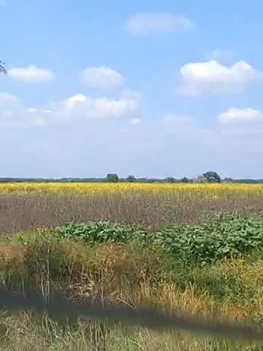 ���������� �������. ������� ������ ����� ��������� ���������� � ��������� ������