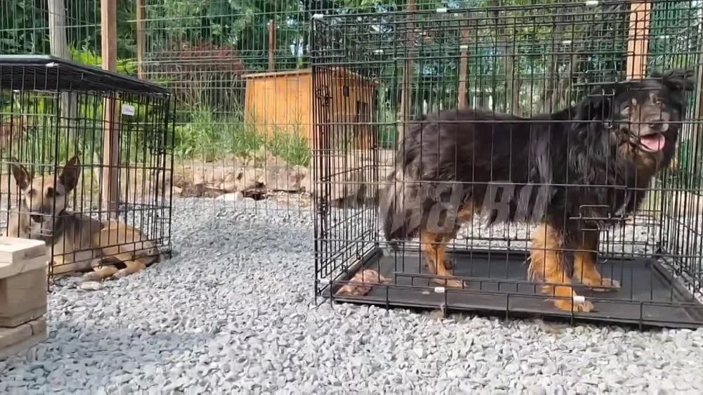 ��������� �������� ����������� ������������, ������������ ��-�� ����������� ������� �� ��������� ���