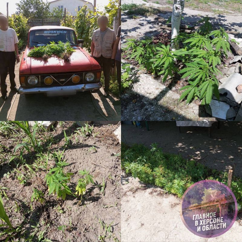 � ������ ���� �������������� ������ 93 ����� ������� � �������� �� ��������� �� ����� ������ ����