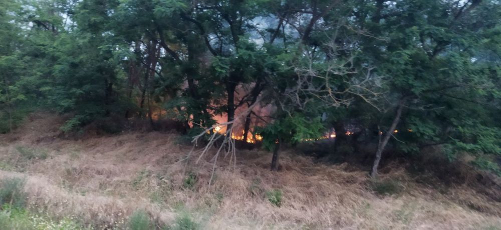 ���������� ����������� �� ���� � ������ �.�. ��������, ������ � �������� ���������� ���������