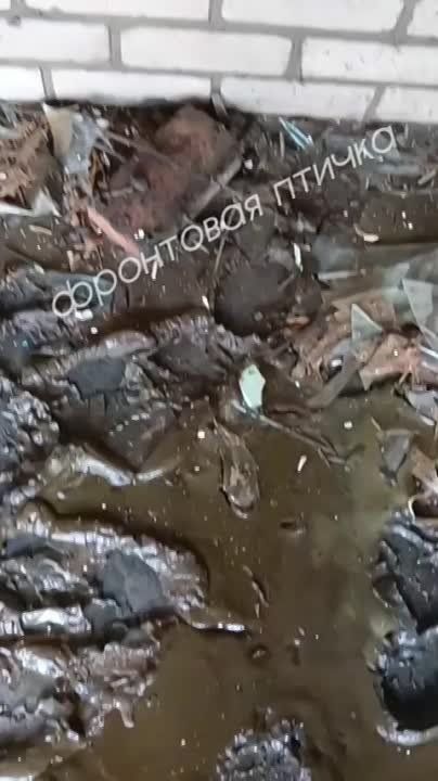 ������� ��� �� ���. ���. ������