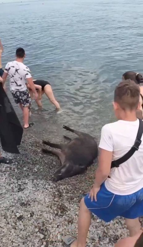 ����������� �������� ������������� ������, ������������ �� ����� � ����