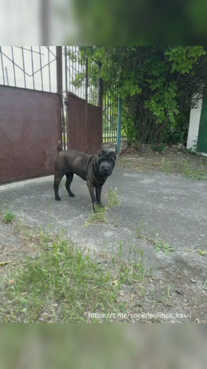 ���������� ���������� ����� �������� �� ������ �����, �� � ��������