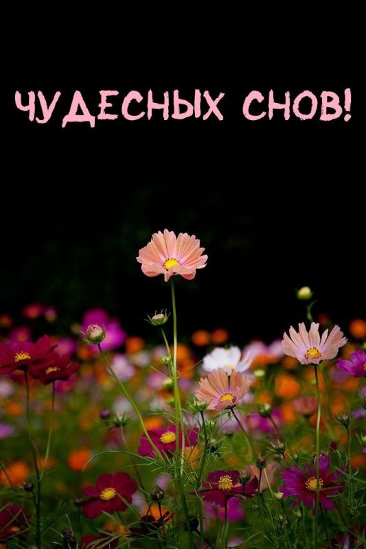 ������ ����. ������ � ������� ���� � ���� ����� ���������, � ������ ����� �������� ��� ����� �����. ��� �������. ����������� �� +17 ����� �� +30 ����