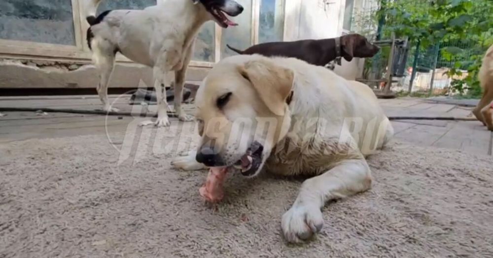 ����� ��� �������� � ����������� ������ ��� ������ � �������� �� ����������� ������� ����������