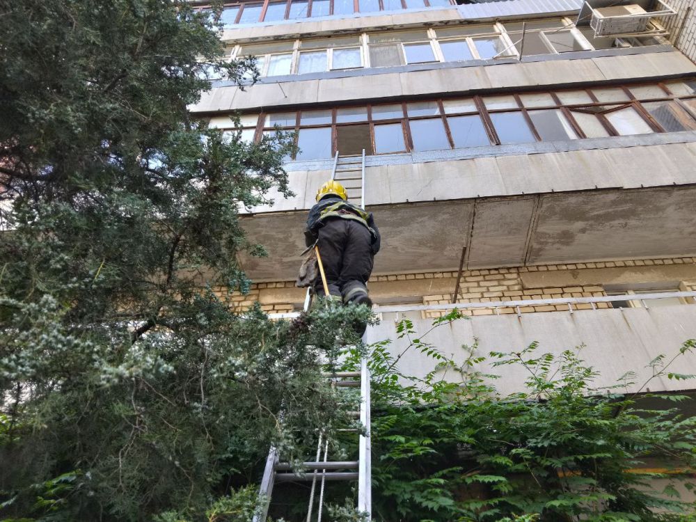 �� ������������ �������� �������� ���������