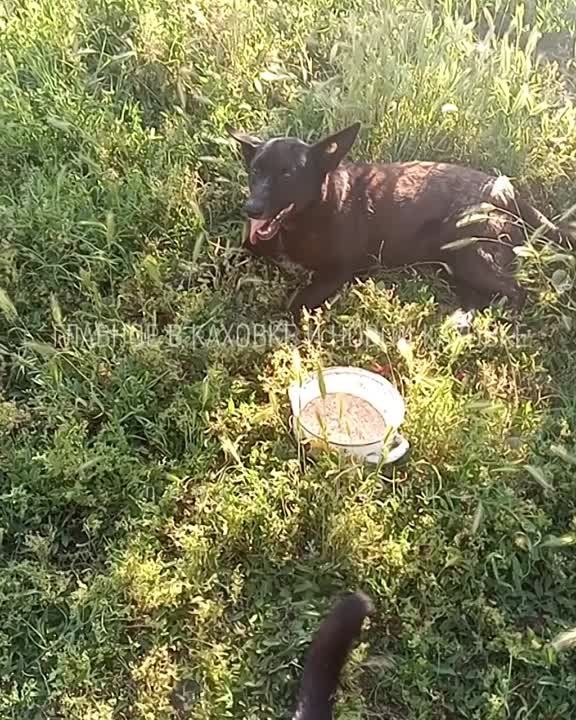 ��� �������� � ������ �� ���, ���� �������� � ������������� ���������� ������� ��� ����� 20 ��� �������� ��������� ��������