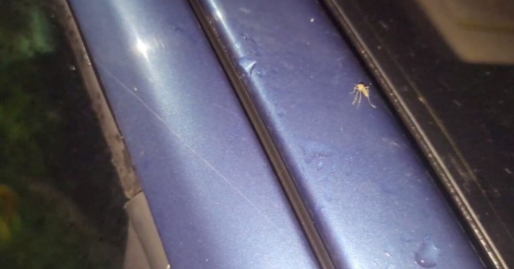 ������ ������� ������� ����������� ������