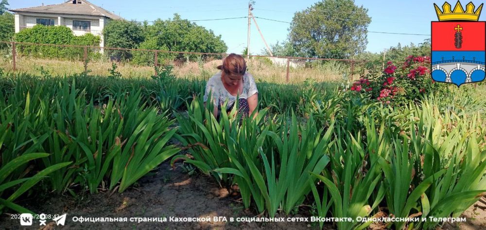 � ����� ���������� ������ ������� ������ �� ���������������