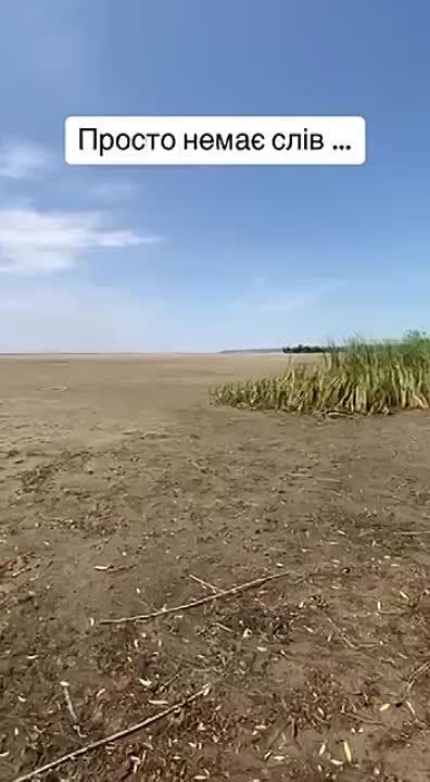 ���� �������: �� ���� �������� ��� ���������� ������������� ��� ���������� �� �����