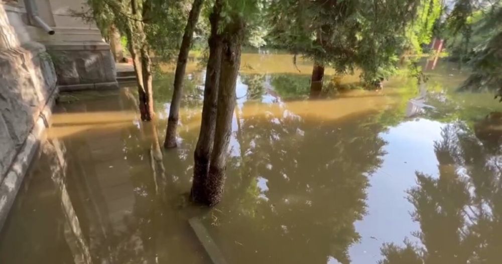 ����������� ����� ���������� ����� ���������� ����� �� �������� ��� �����