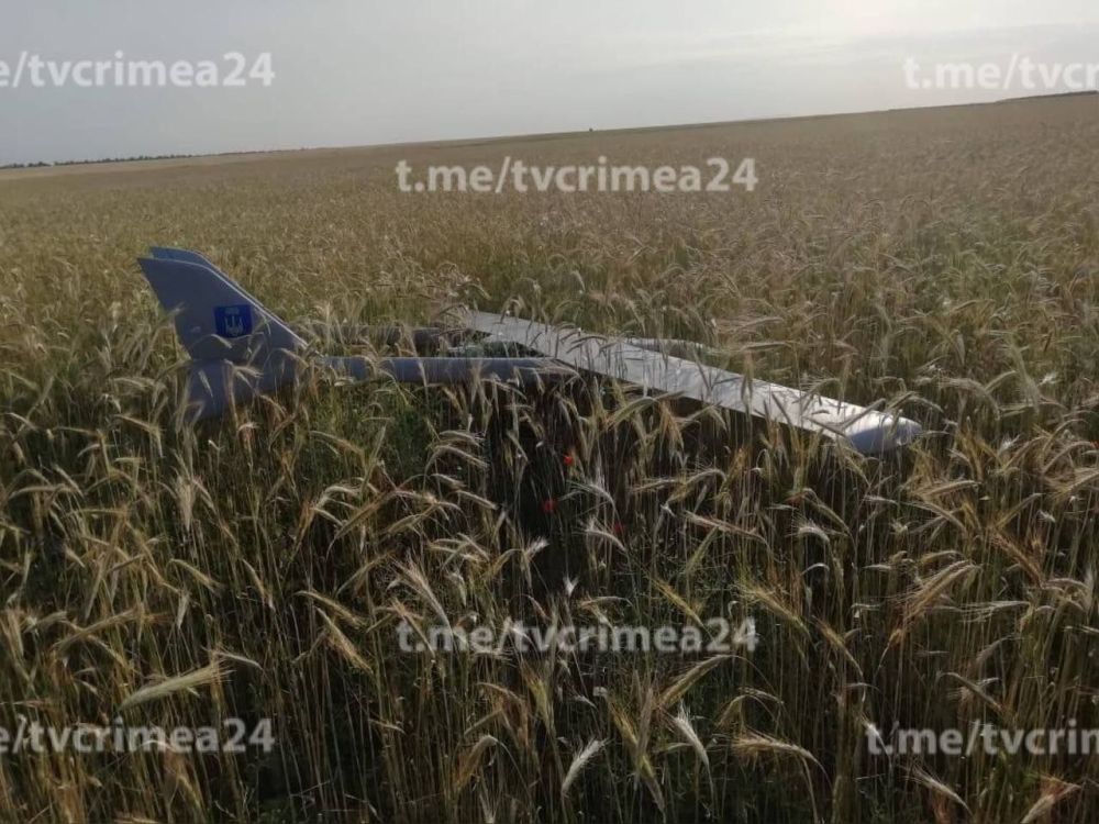 ���� �������: ���������� �����������, ���������� ���������� ��� �� ������ �����