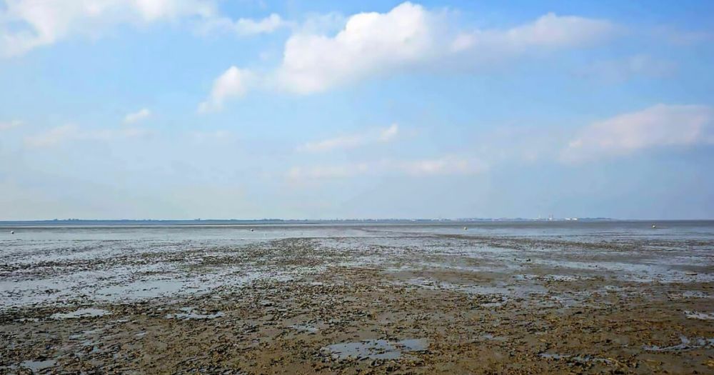 ��������� ������������� ������������ � �������� �������