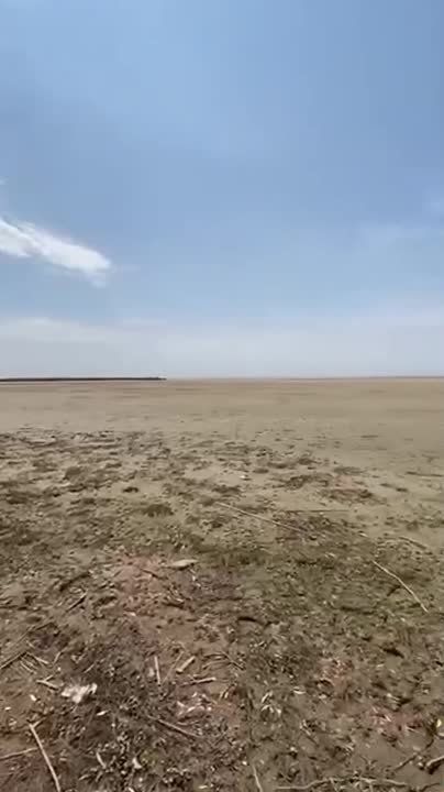 ��������� ������������� �������� ���������� ������������ � �������� �������