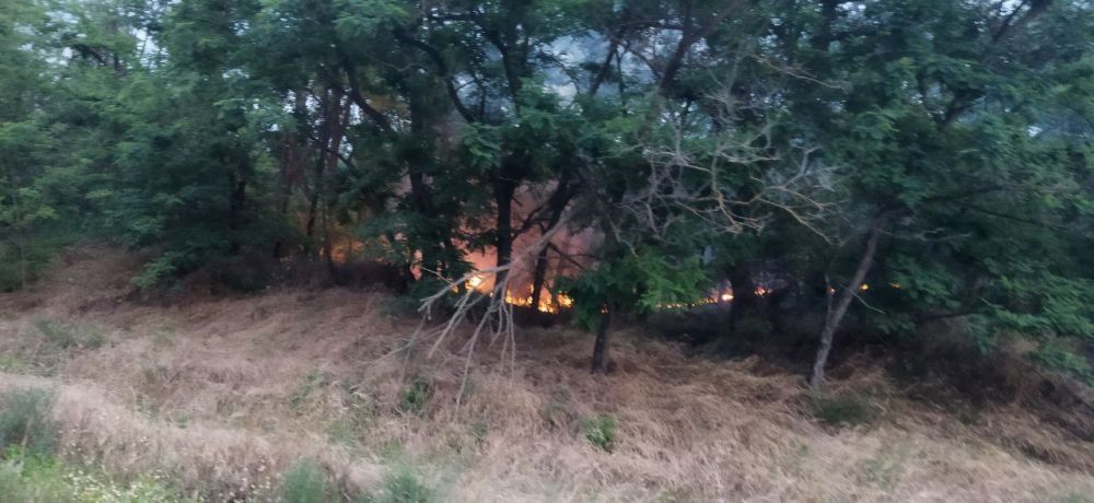 ���������� ����������� �� ���� � ������ �.�. ��������, ������ � �������� ���������� ���������