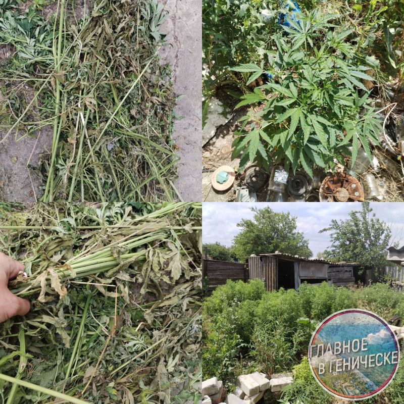 ��������������� ������ 41 ���� ������� � �������� ������ ����������� ������