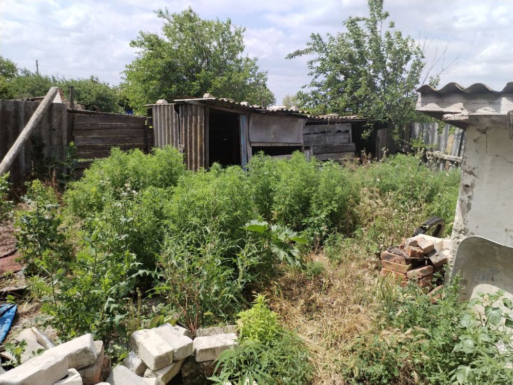 ���������� �������������� ������� �������� ���������� � ���, ��� �� ���������� ����������� ������ ���������� ������� 56-������ ������� ���������� ���������������� ���������������� ��������