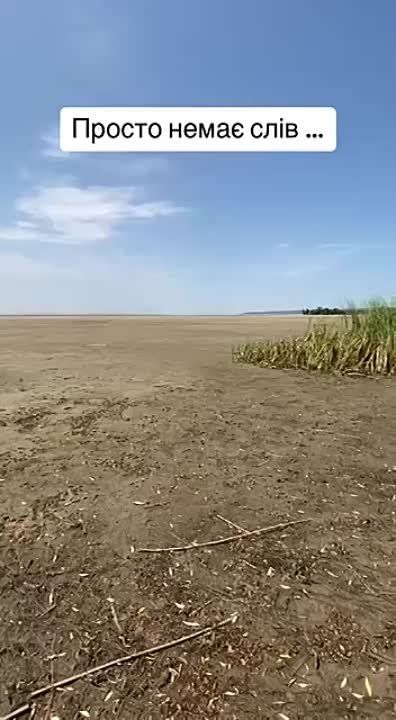 ������ ��������: ��� ������ �������� ��������� ������������� � ������� (����������� ������)