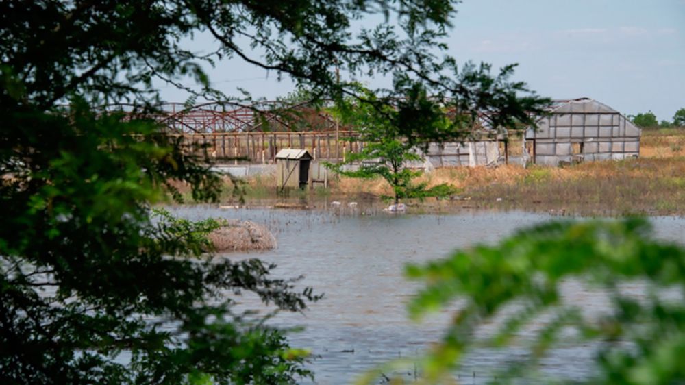 ���������� ������� ������� ���� �� ������� � ���� ����������� � ���������� �������