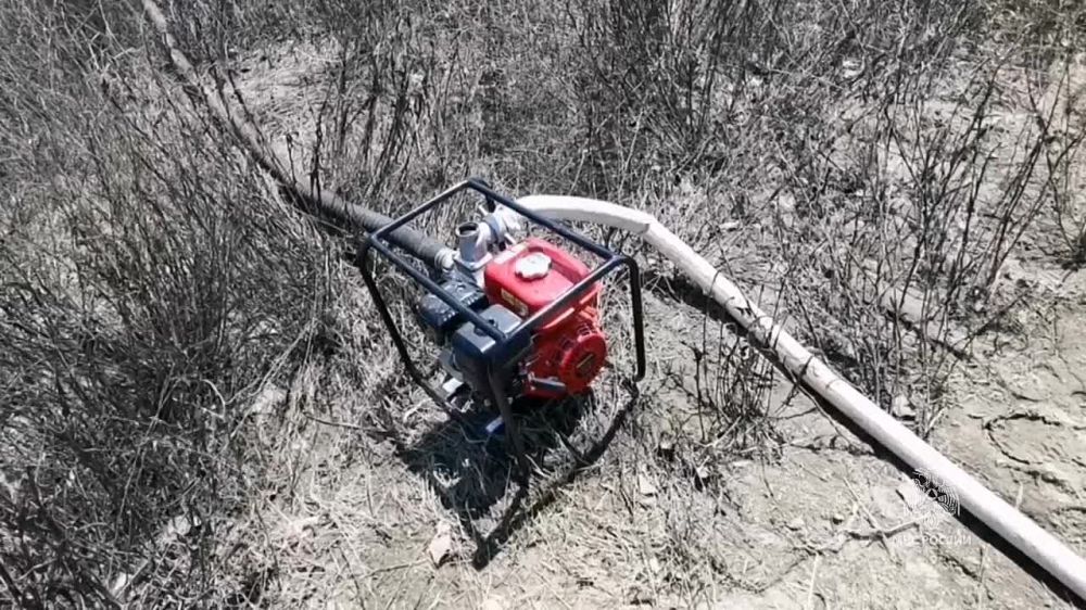 ����������� ��� ������ �������� ������ �� �������� �������� ������ ���������.