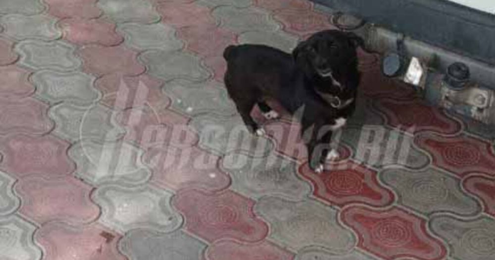 ��������� ������ ���� � ����� ��������