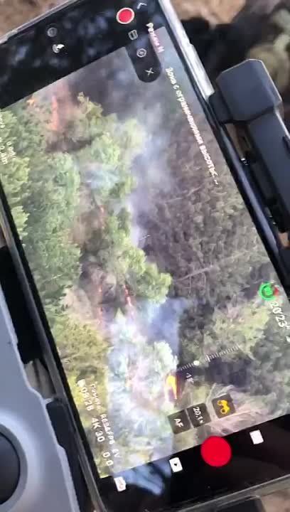 ��� ���������� ��������� ���� �� ����� ������ ���������� �������